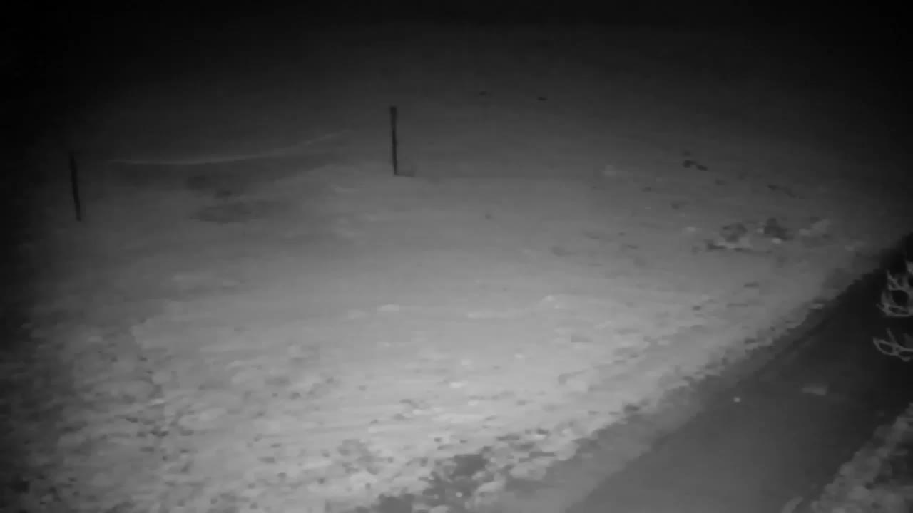 Webcam Ribnik Vrbje – Žalec