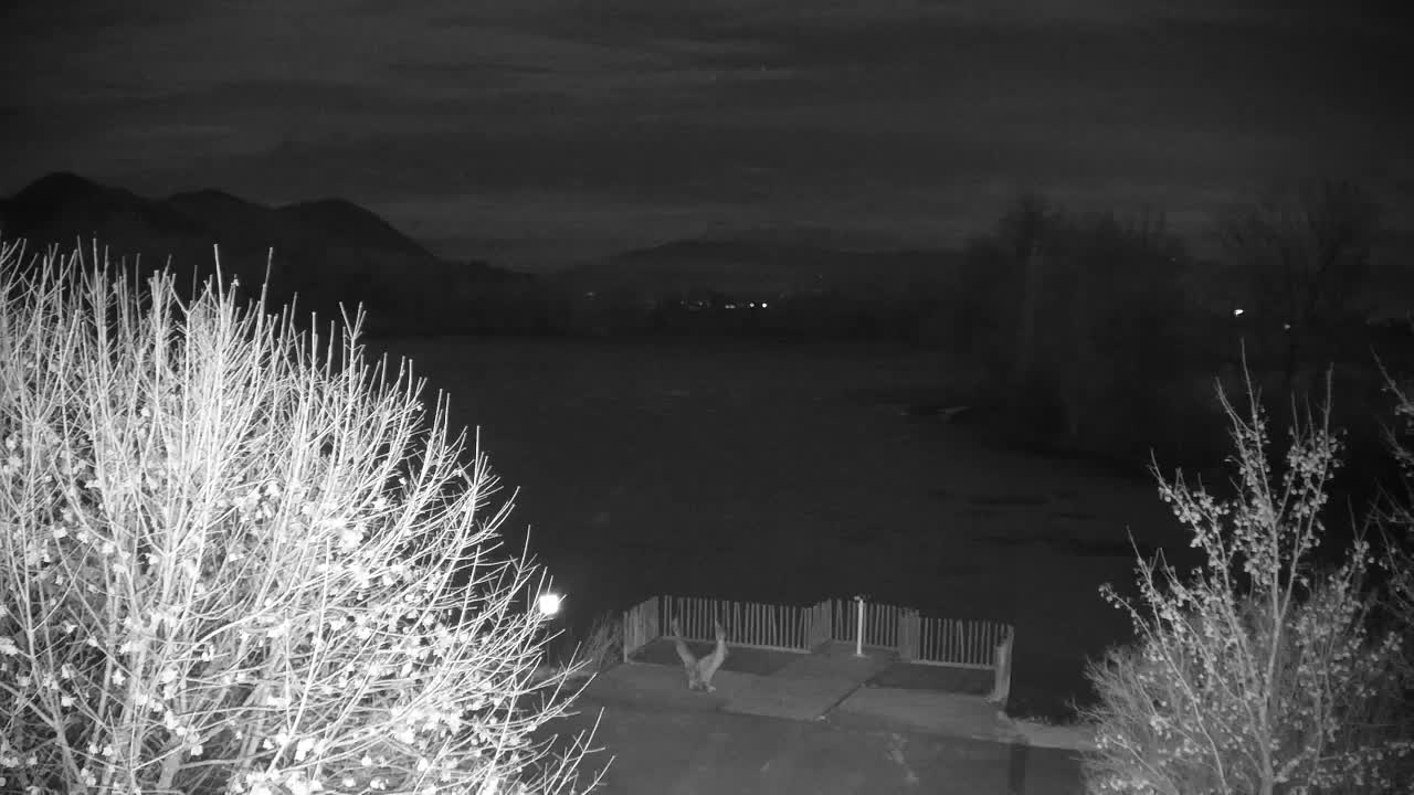 Webcam Ribnik Vrbje – Žalec