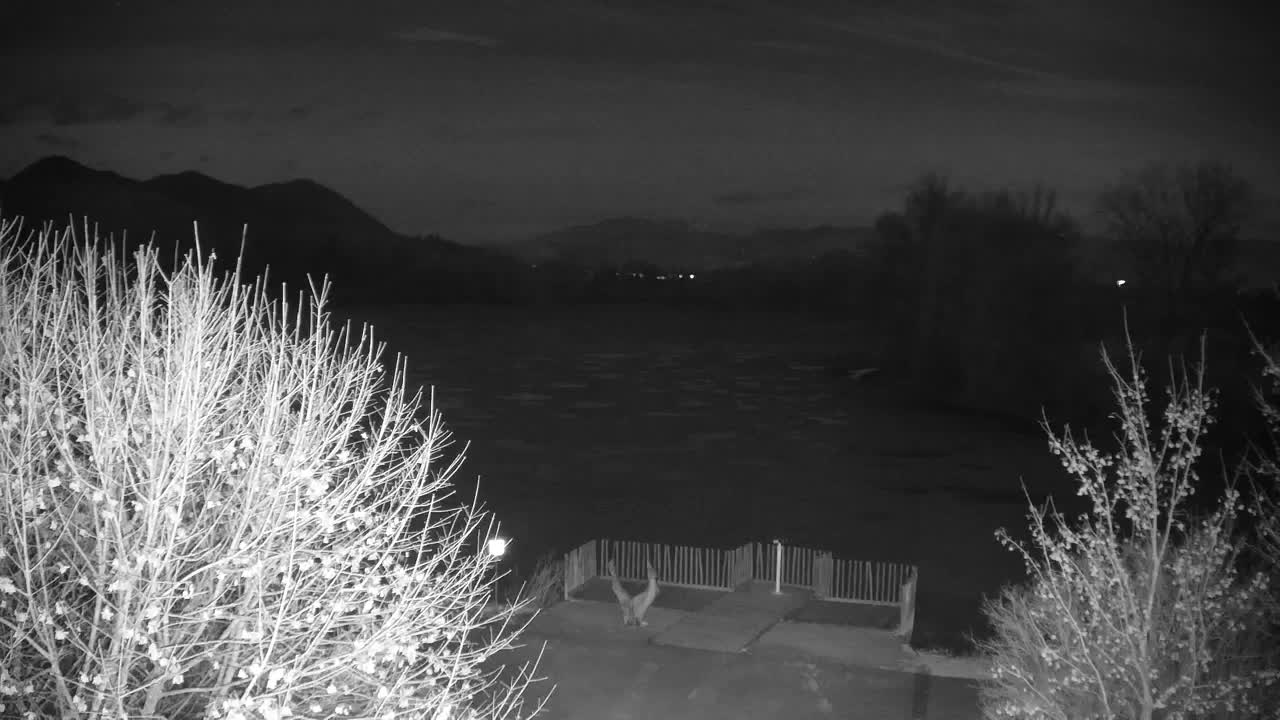 Webcam Ribnik Vrbje – Žalec