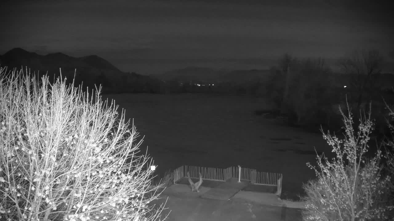 Webcam Ribnik Vrbje – Žalec