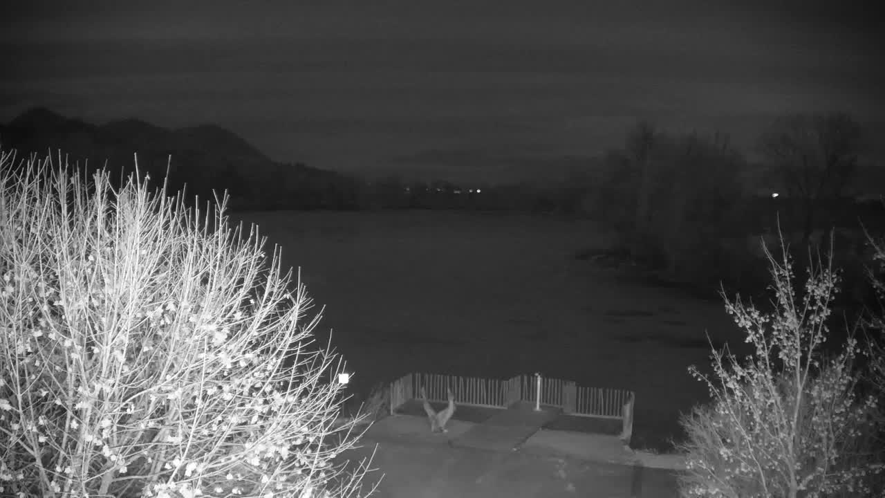 Webcam Ribnik Vrbje – Žalec