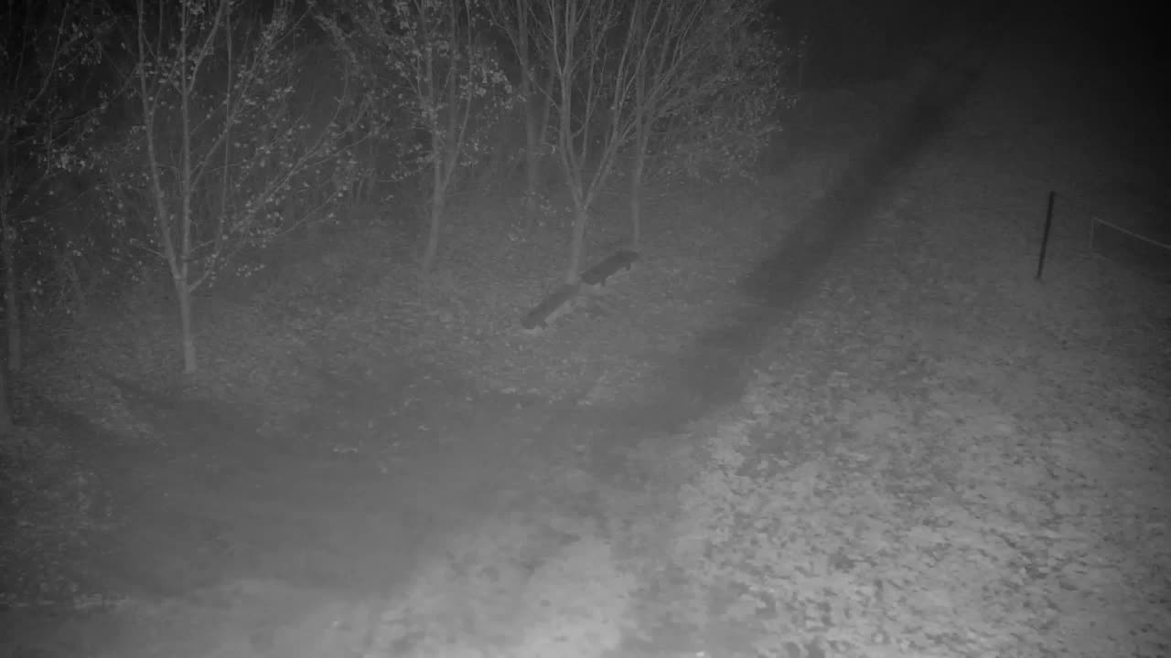 Webcam Ribnik Vrbje – Žalec