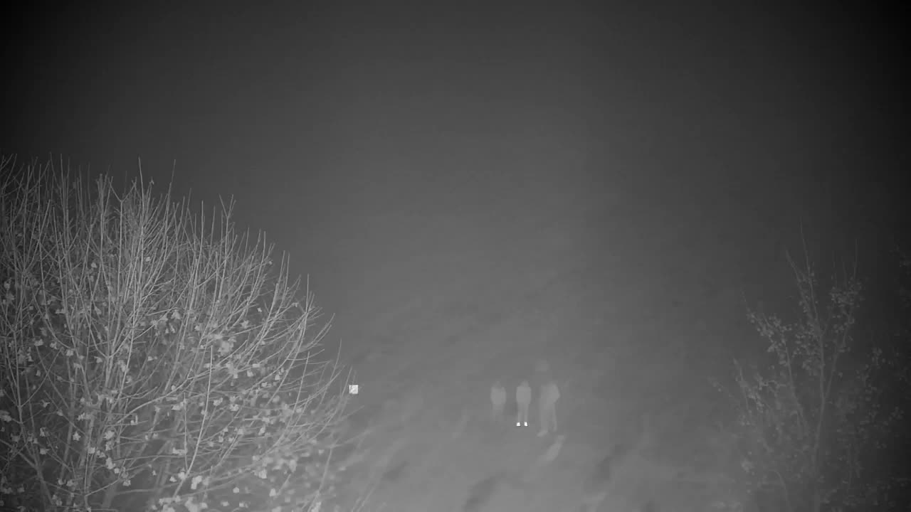 Webcam Ribnik Vrbje – Žalec