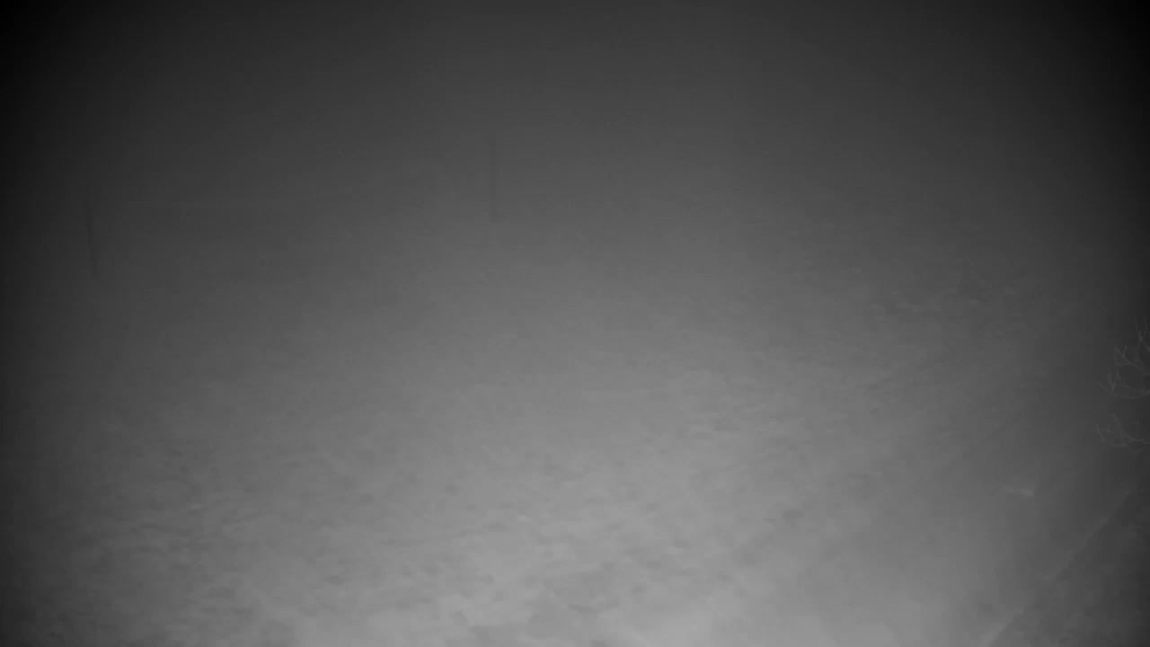 Webcam Ribnik Vrbje – Žalec