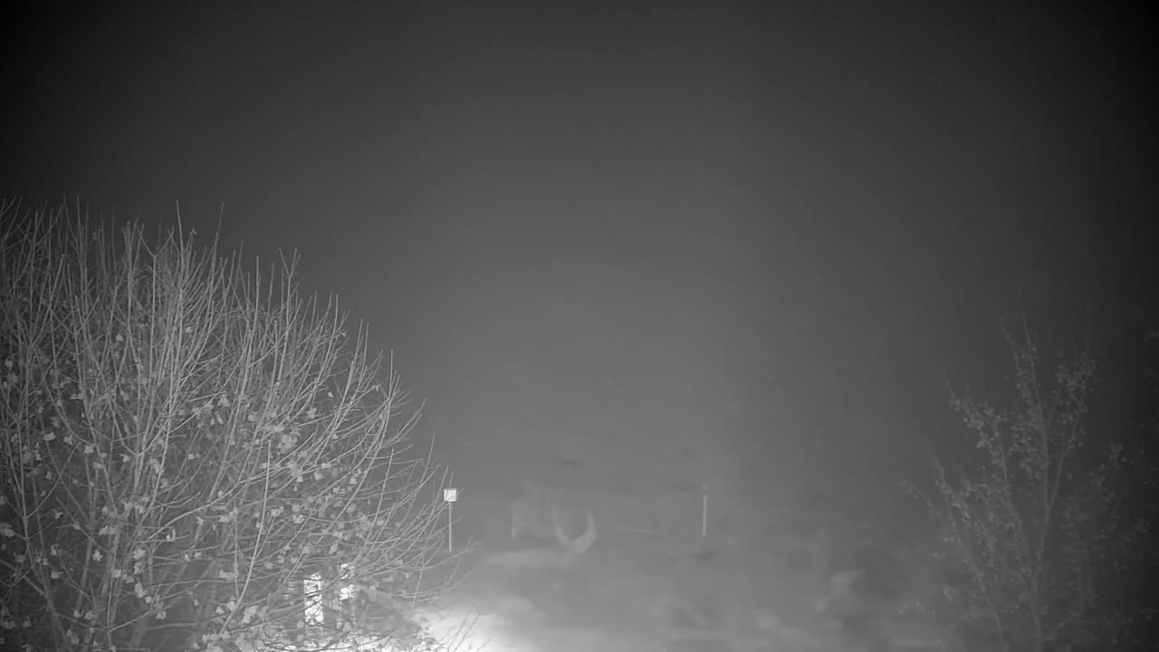 Webcam Ribnik Vrbje – Žalec