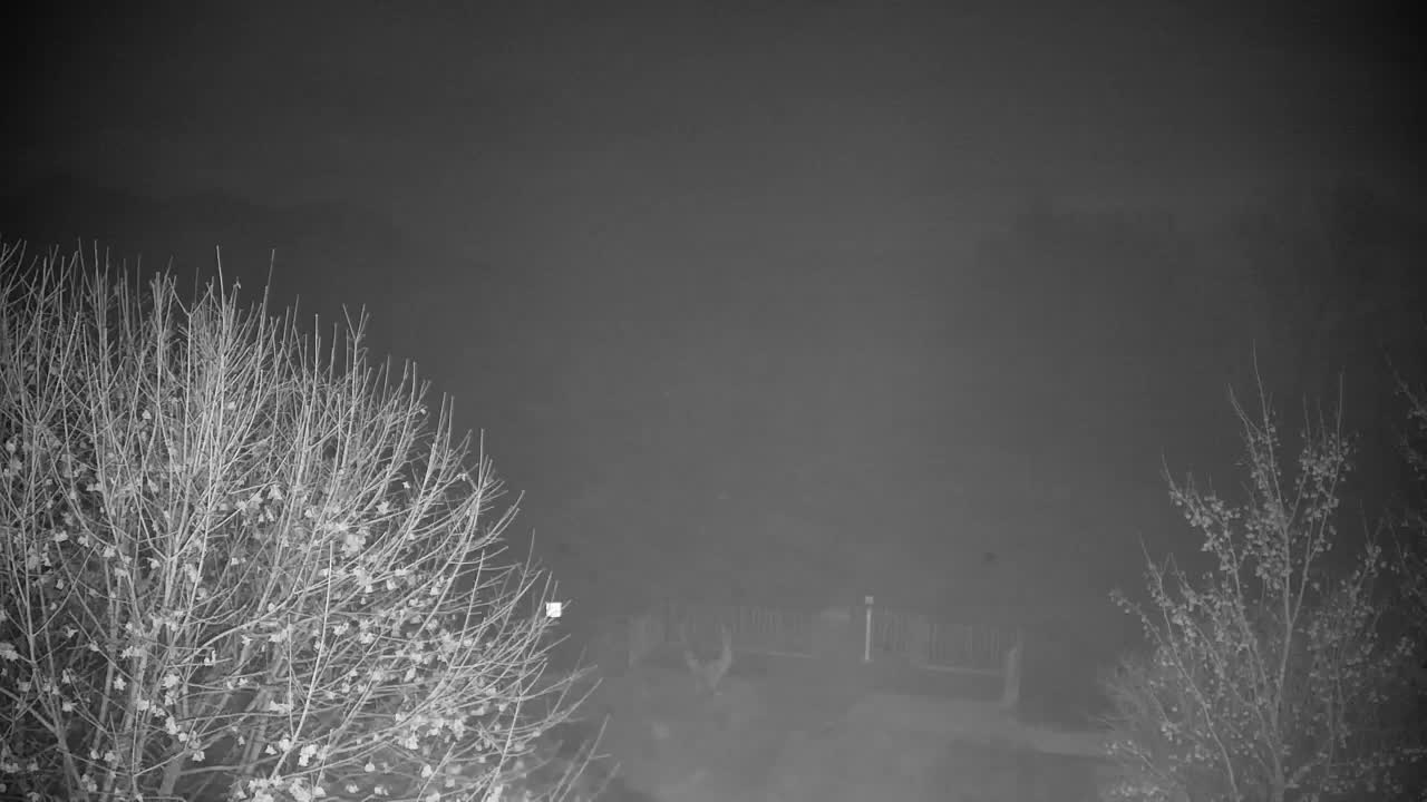 Webcam Ribnik Vrbje – Žalec