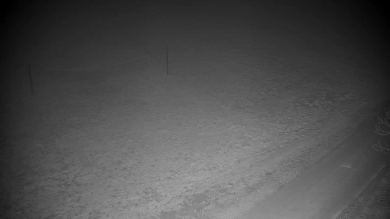 Webcam Ribnik Vrbje – Žalec