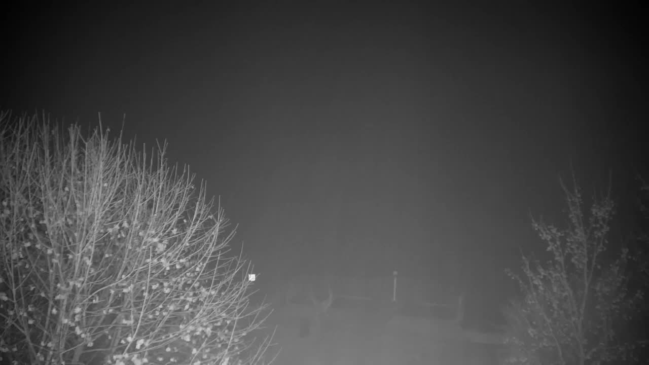 Webcam Ribnik Vrbje – Žalec