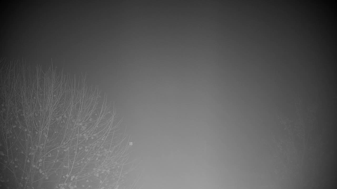 Spletna kamera Ribnik Vrbje – Žalec