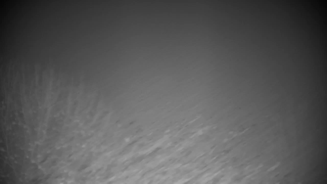 Webcam Ribnik Vrbje – Žalec