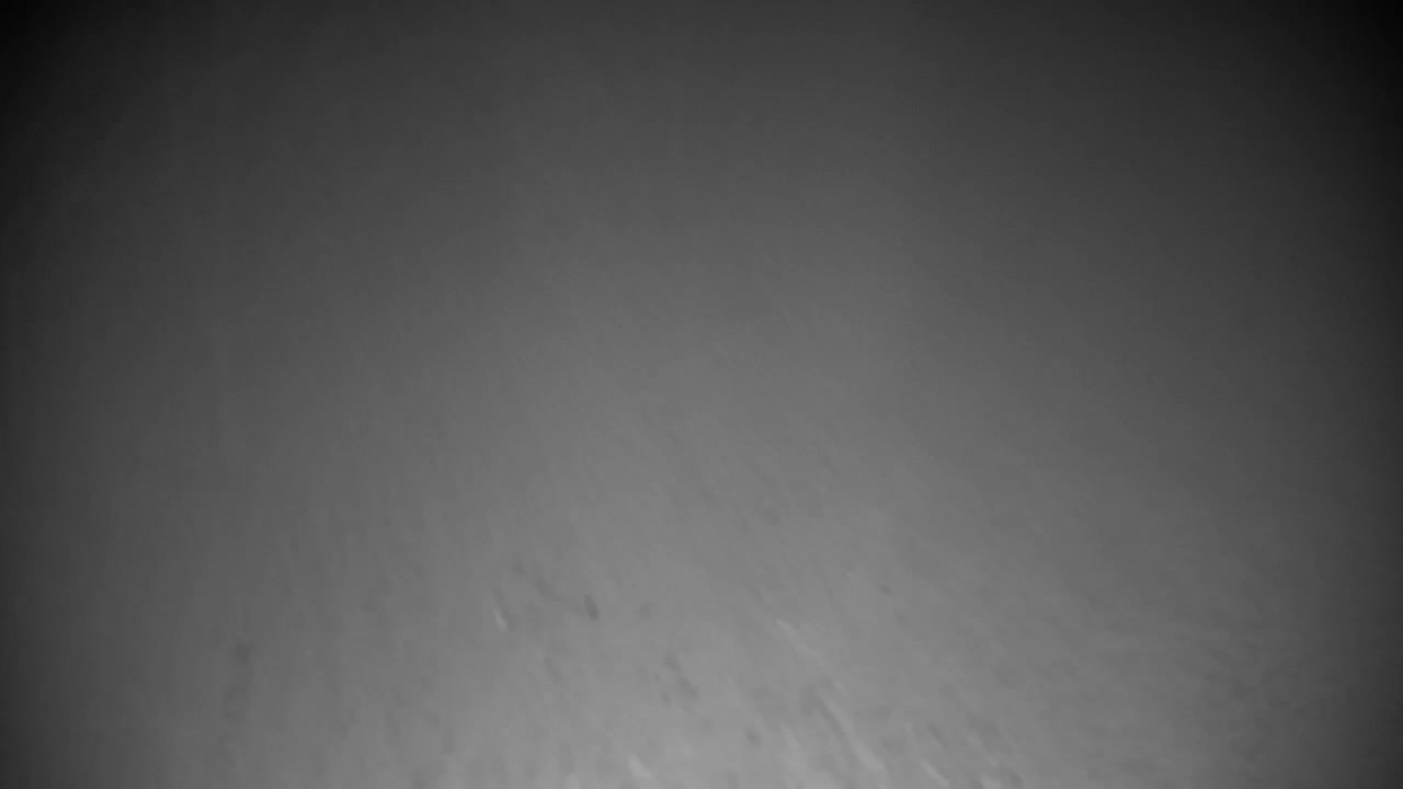 Webcam Ribnik Vrbje – Žalec