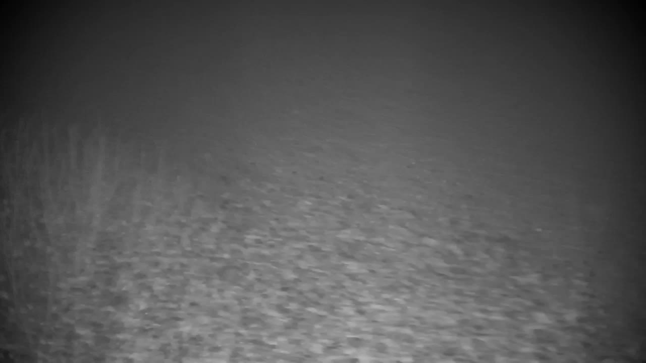 Webcam Ribnik Vrbje – Žalec