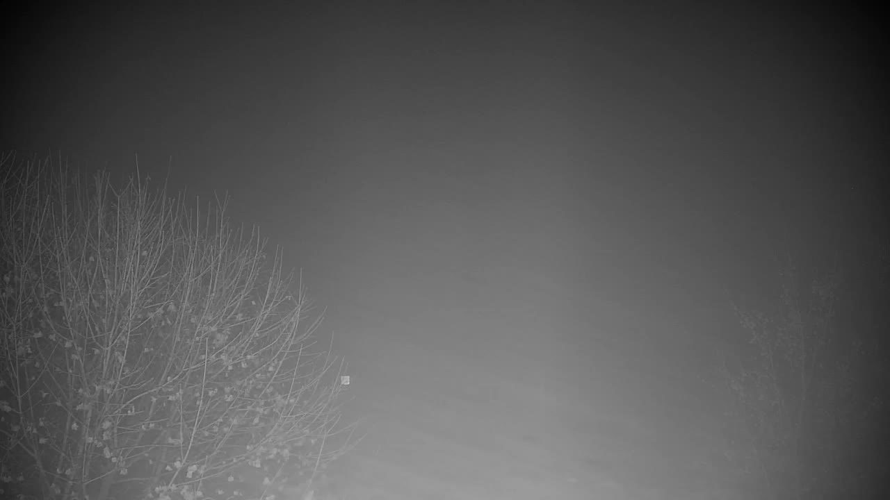 Webcam Ribnik Vrbje – Žalec