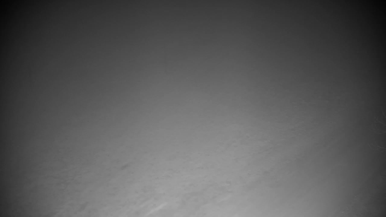 Spletna kamera Ribnik Vrbje – Žalec