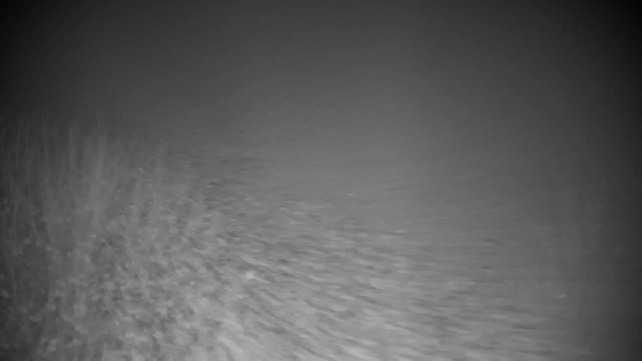 Webcam Ribnik Vrbje – Žalec