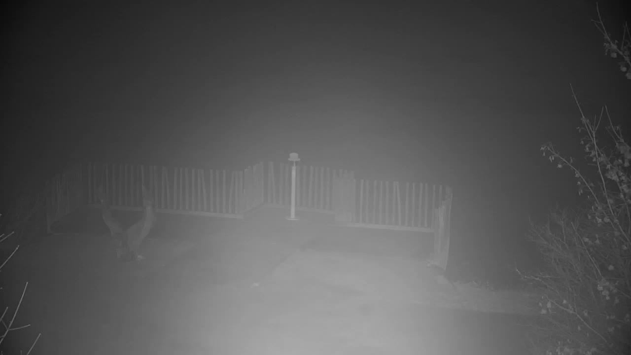 Spletna kamera Ribnik Vrbje – Žalec