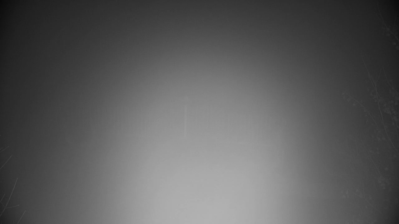 Webcam Ribnik Vrbje – Žalec