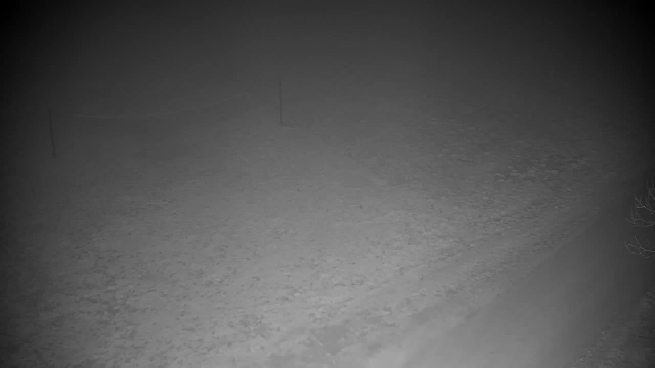 Webcam Ribnik Vrbje – Žalec