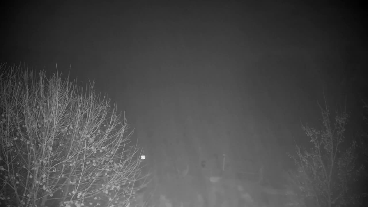 Webcam Ribnik Vrbje – Žalec