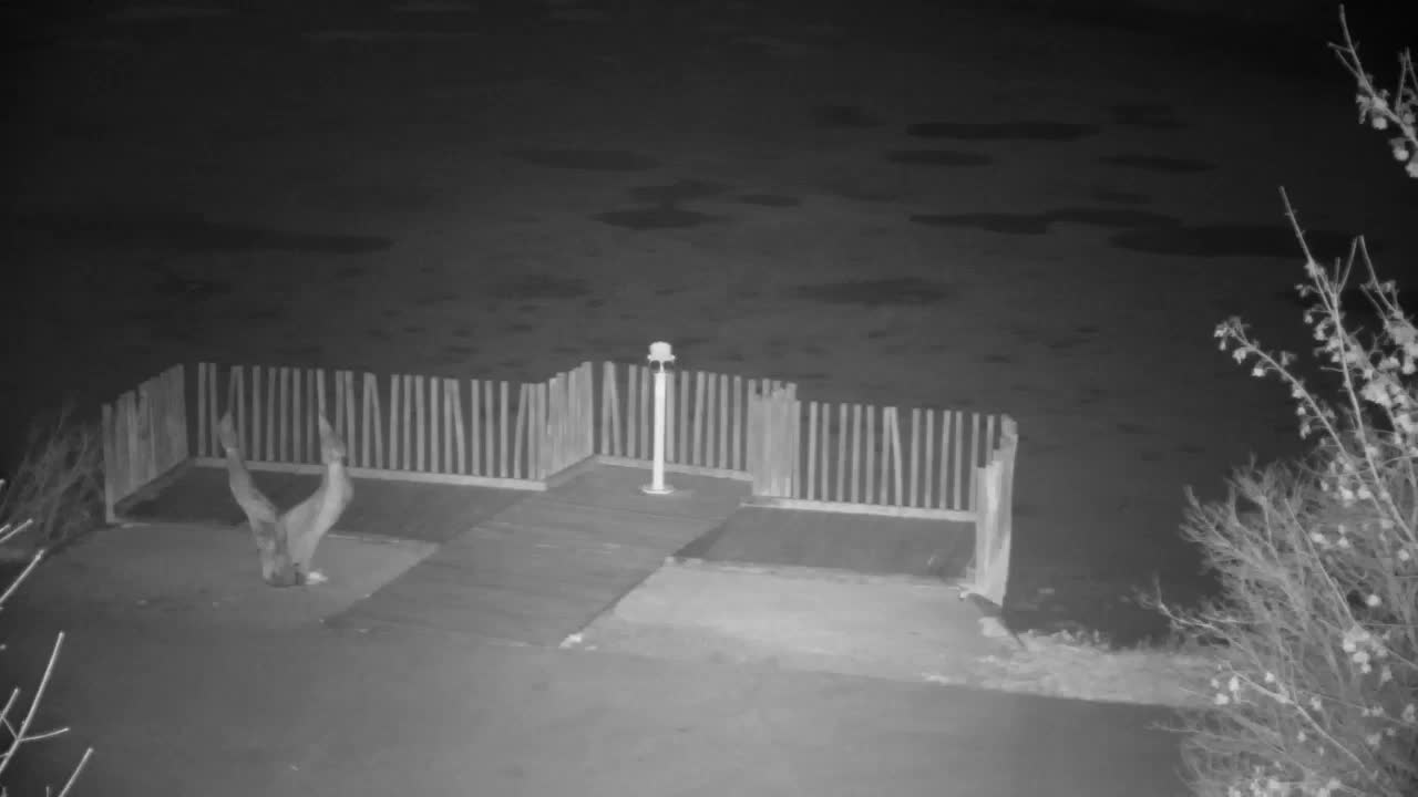 Webcam Ribnik Vrbje – Žalec