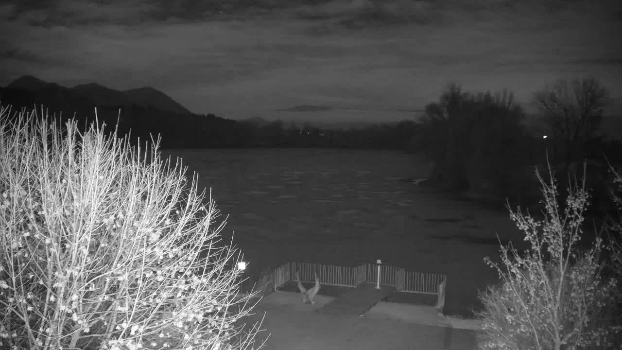 Spletna kamera Ribnik Vrbje – Žalec