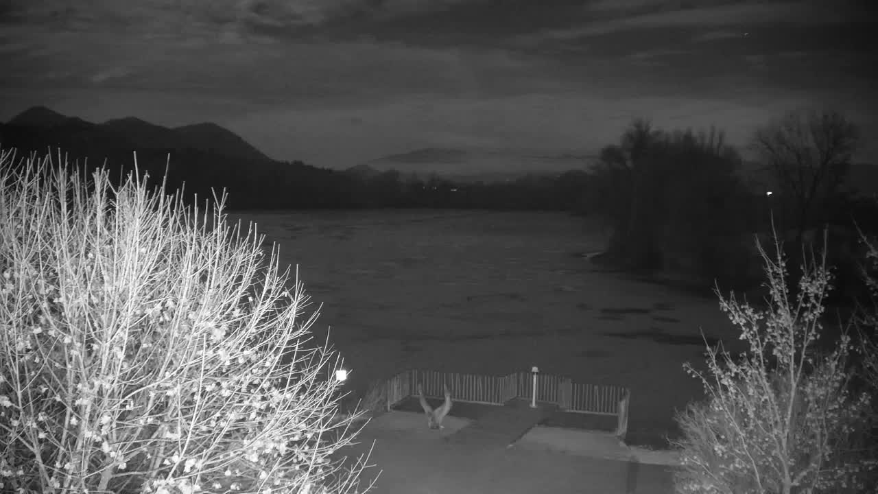 Web kamera Ribnik Vrbje – Žalec