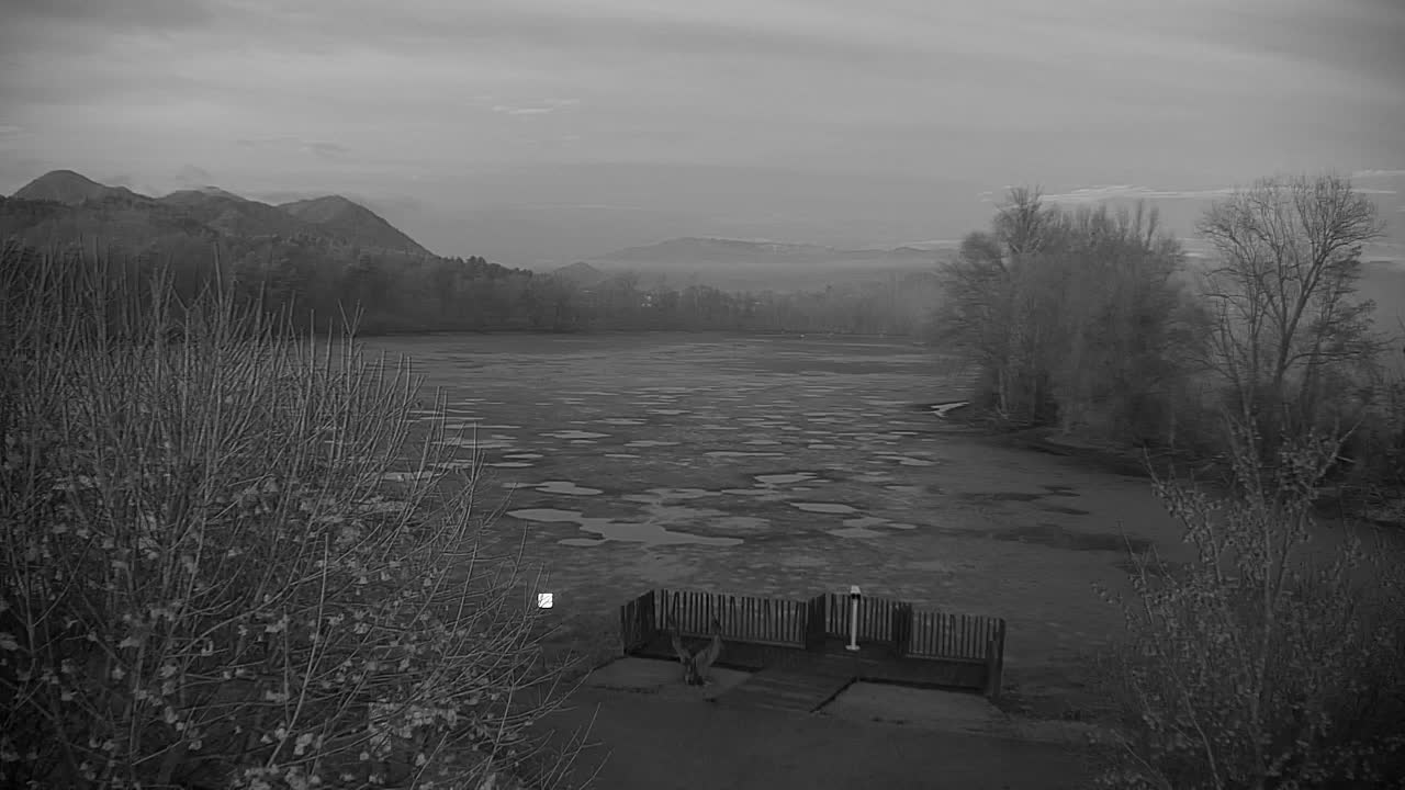 Webcam Ribnik Vrbje – Žalec