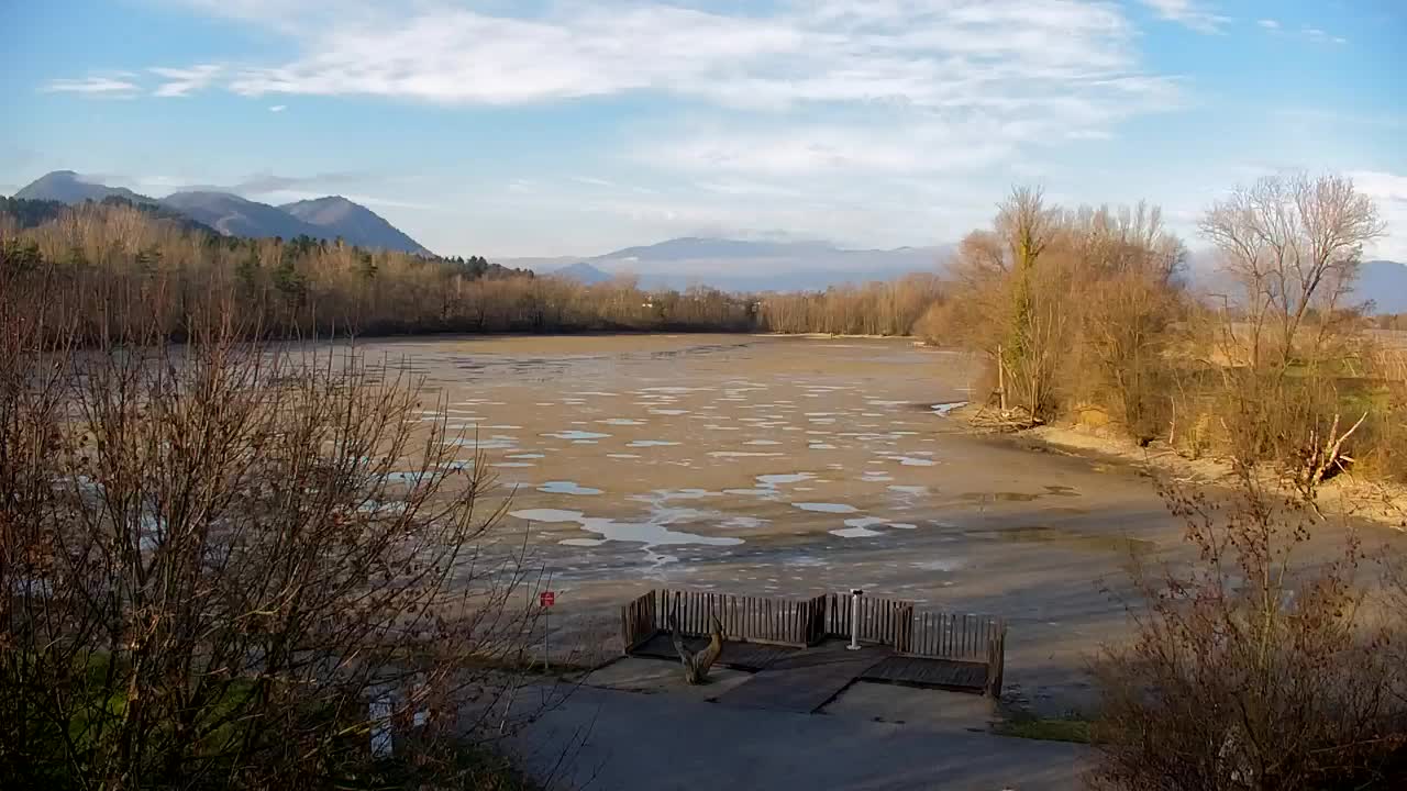 Webcam Ribnik Vrbje – Žalec