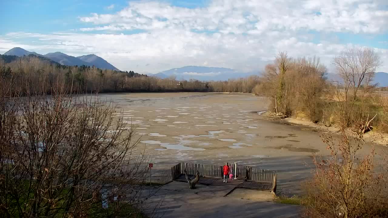 Spletna kamera Ribnik Vrbje – Žalec