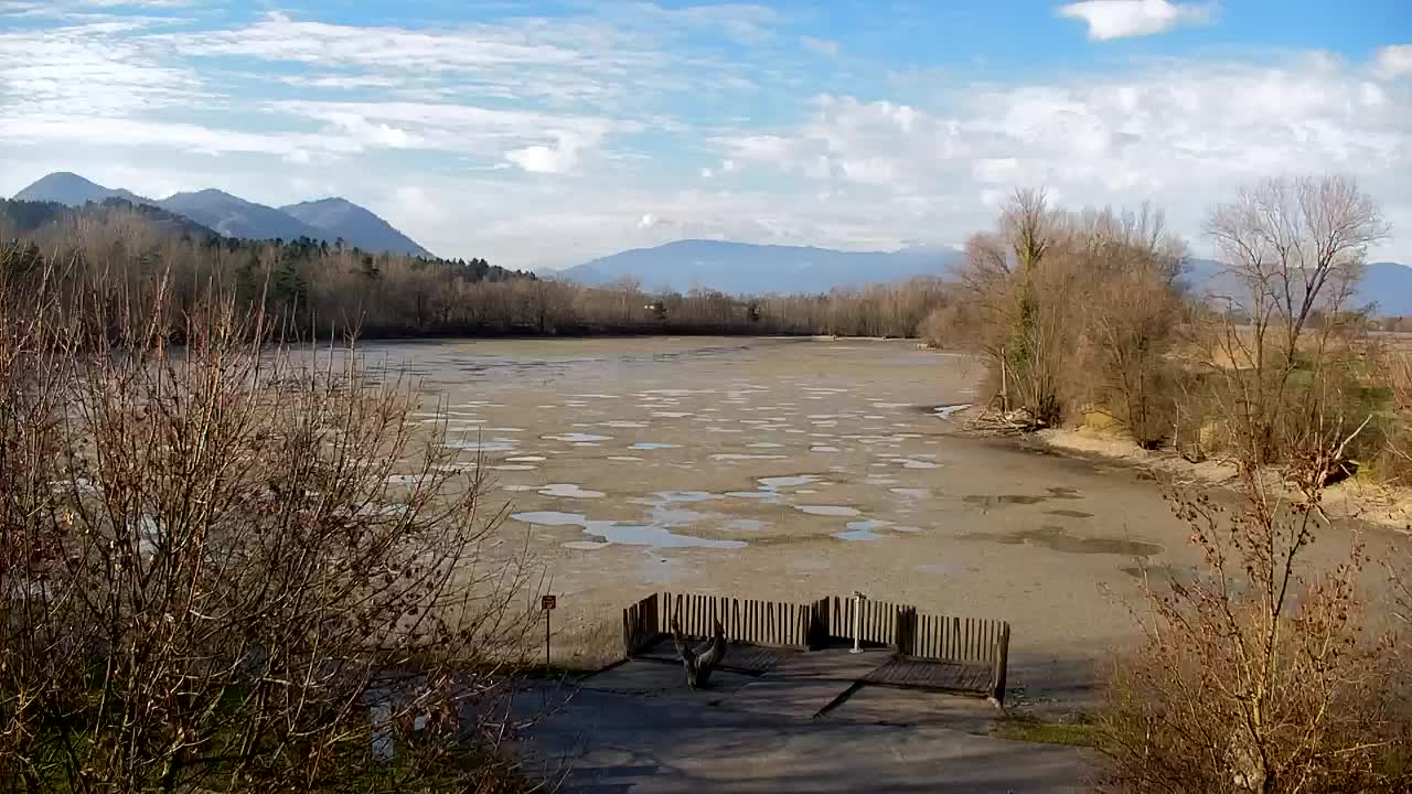 Spletna kamera Ribnik Vrbje – Žalec