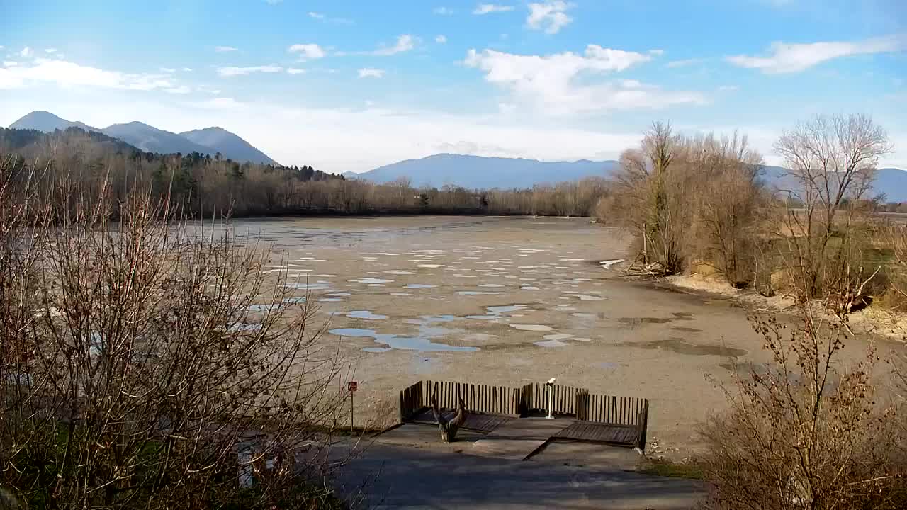 Webcam Ribnik Vrbje – Žalec