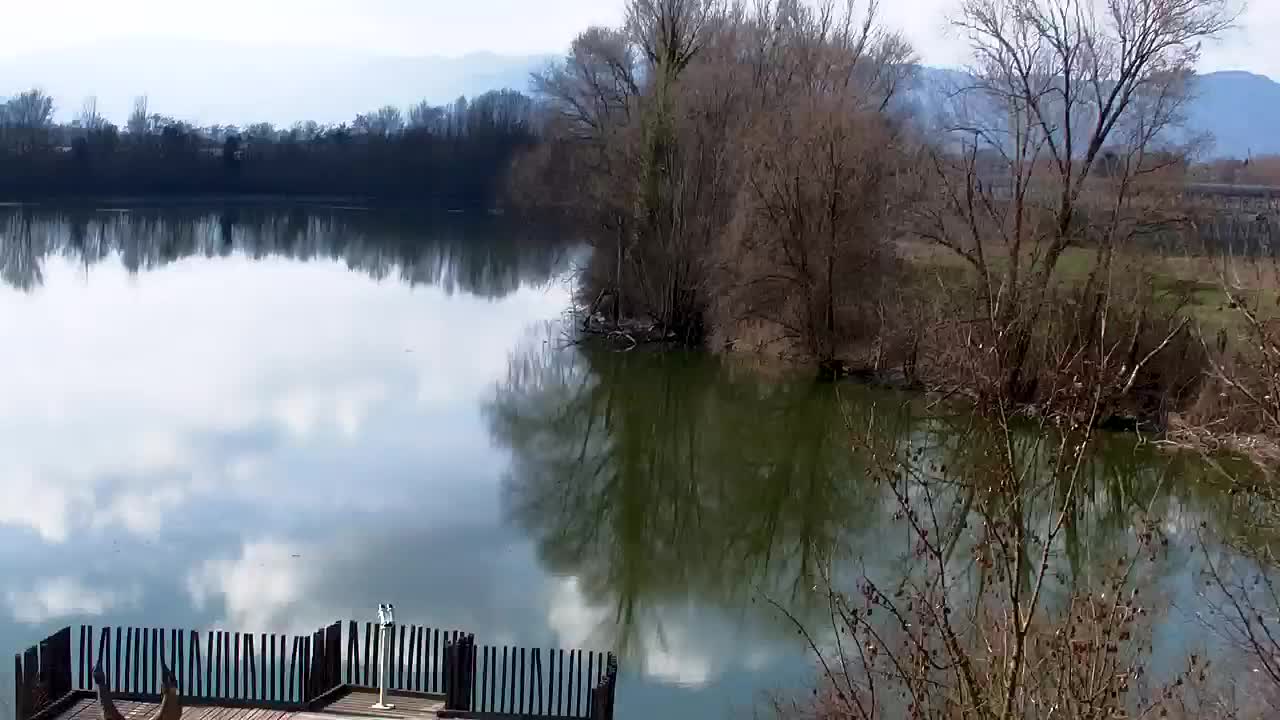 Spletna kamera Ribnik Vrbje – Žalec