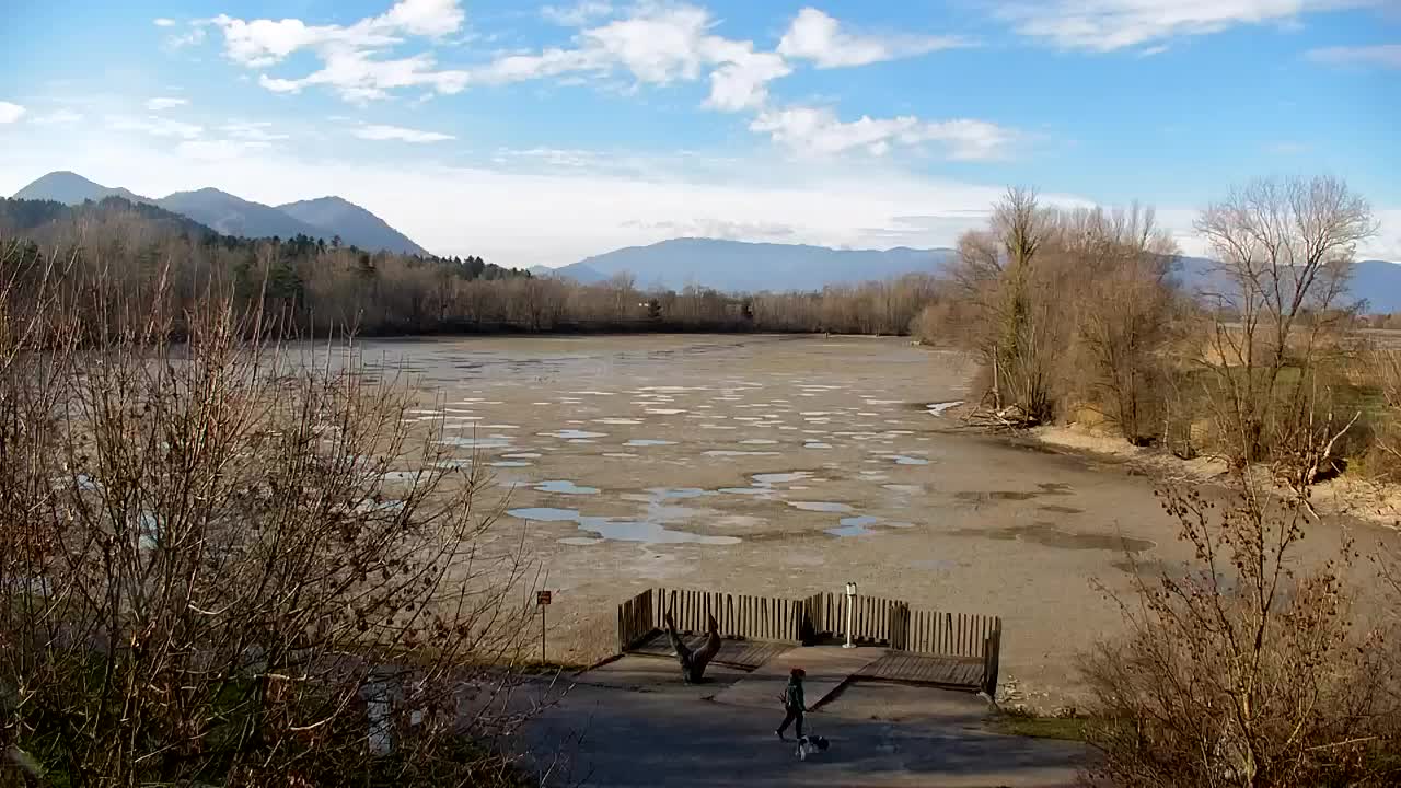 Webcam Ribnik Vrbje – Žalec