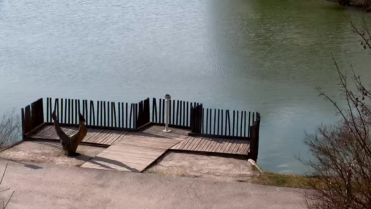 Webcam Ribnik Vrbje – Žalec