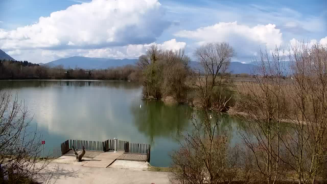 Webcam Ribnik Vrbje – Žalec