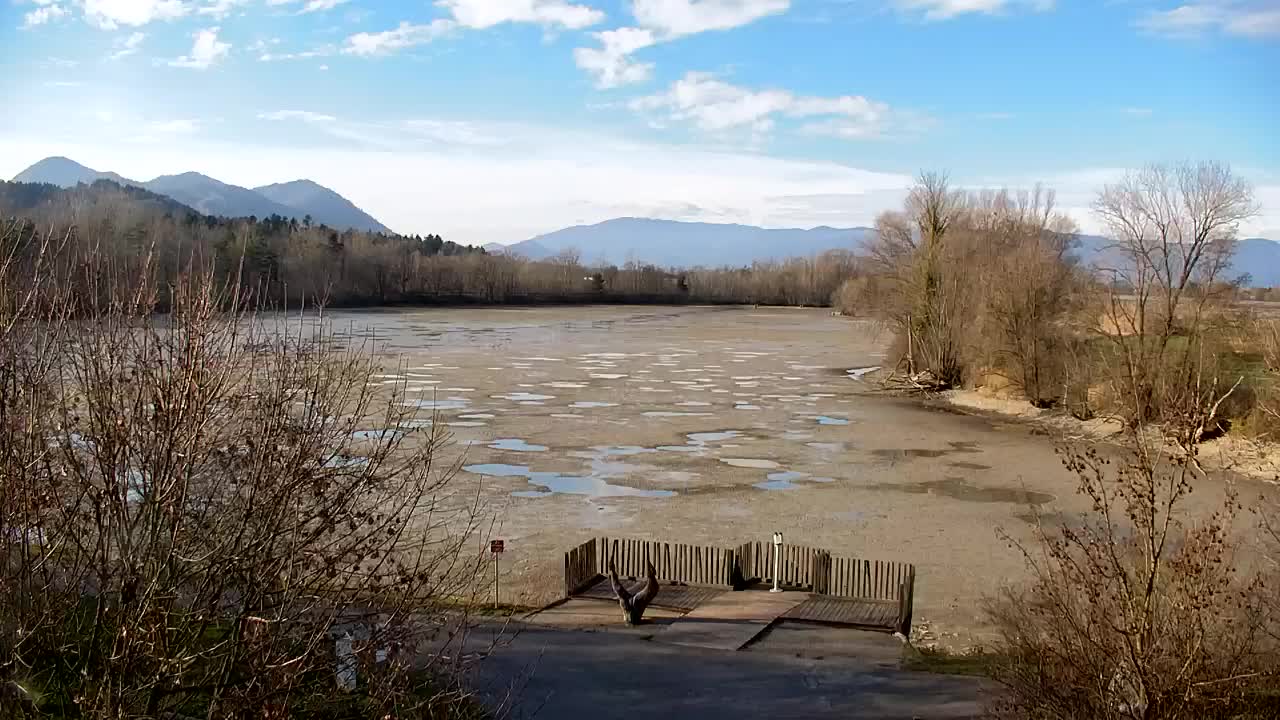Webcam Ribnik Vrbje – Žalec