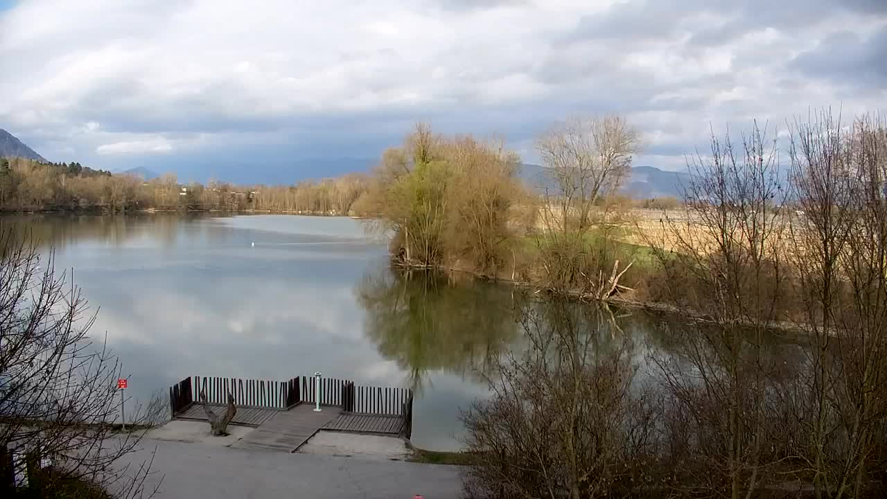 Webcam Ribnik Vrbje – Žalec