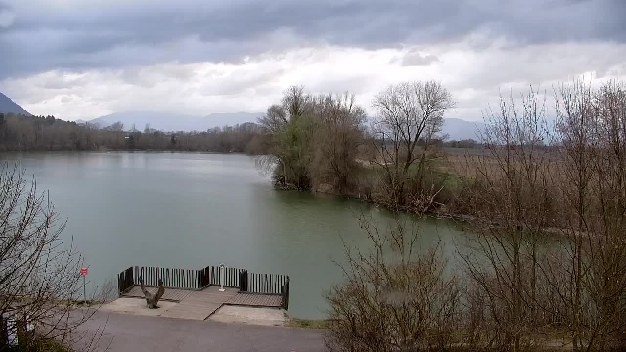 Webcam Ribnik Vrbje – Žalec