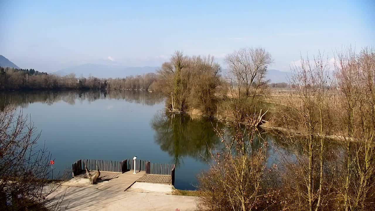 Webcam Ribnik Vrbje – Žalec