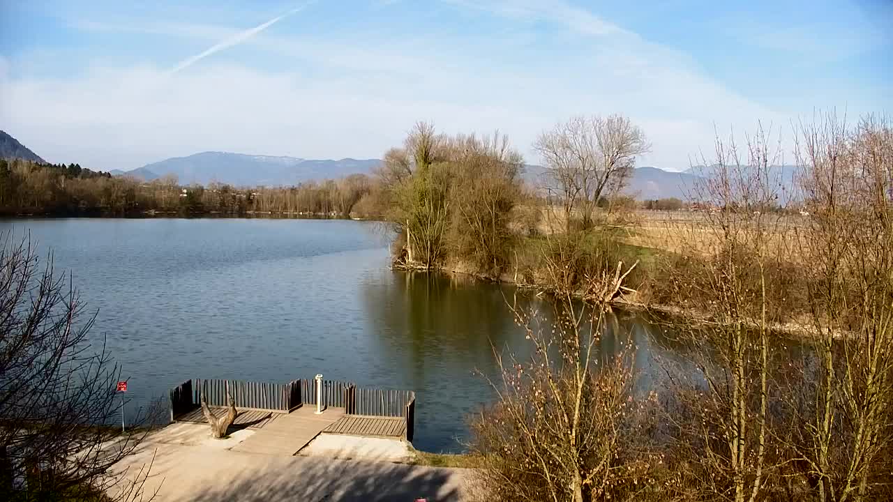 Spletna kamera Ribnik Vrbje – Žalec