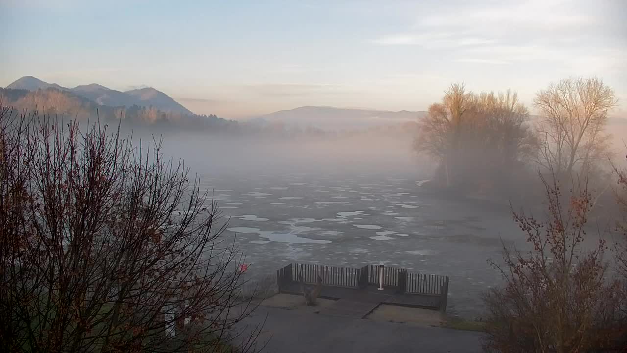 Webcam Ribnik Vrbje – Žalec