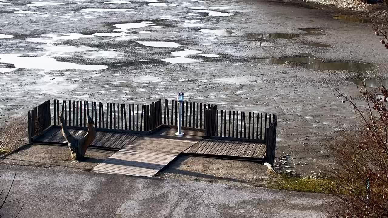 Webcam Ribnik Vrbje – Žalec