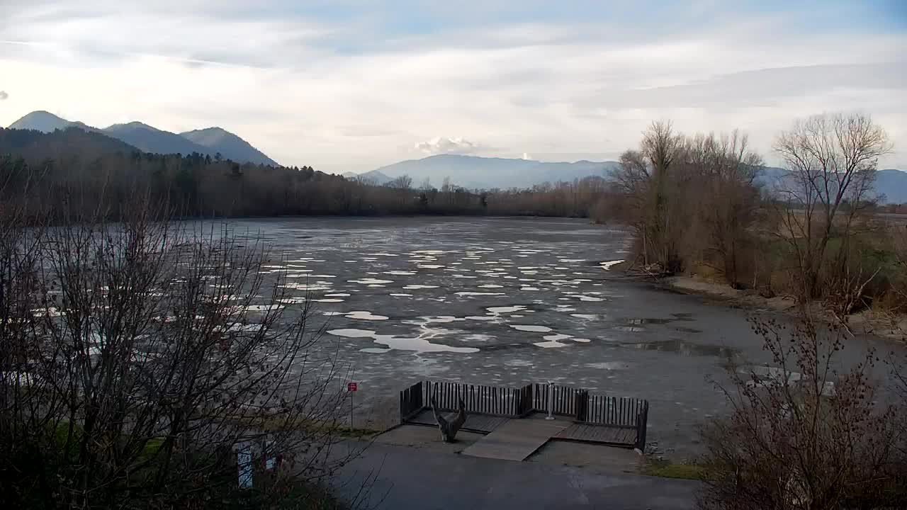 Web kamera Ribnik Vrbje – Žalec