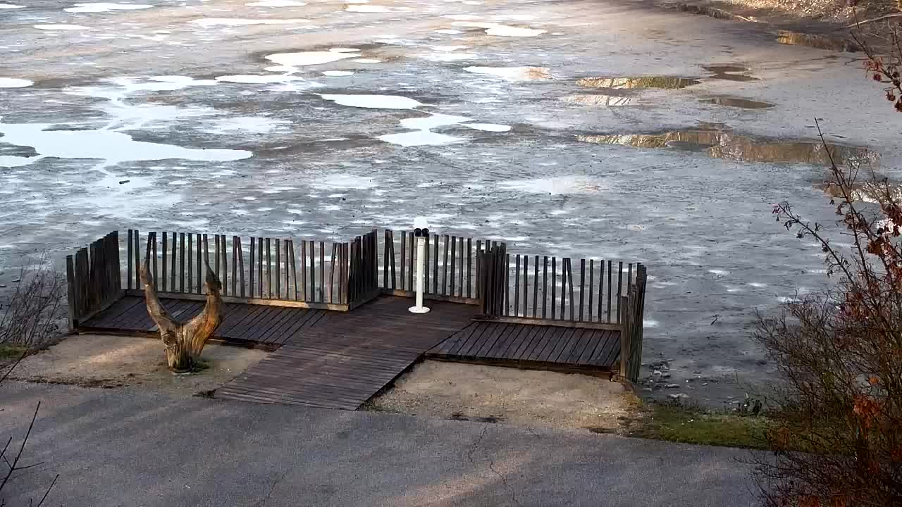 Webcam Ribnik Vrbje – Žalec