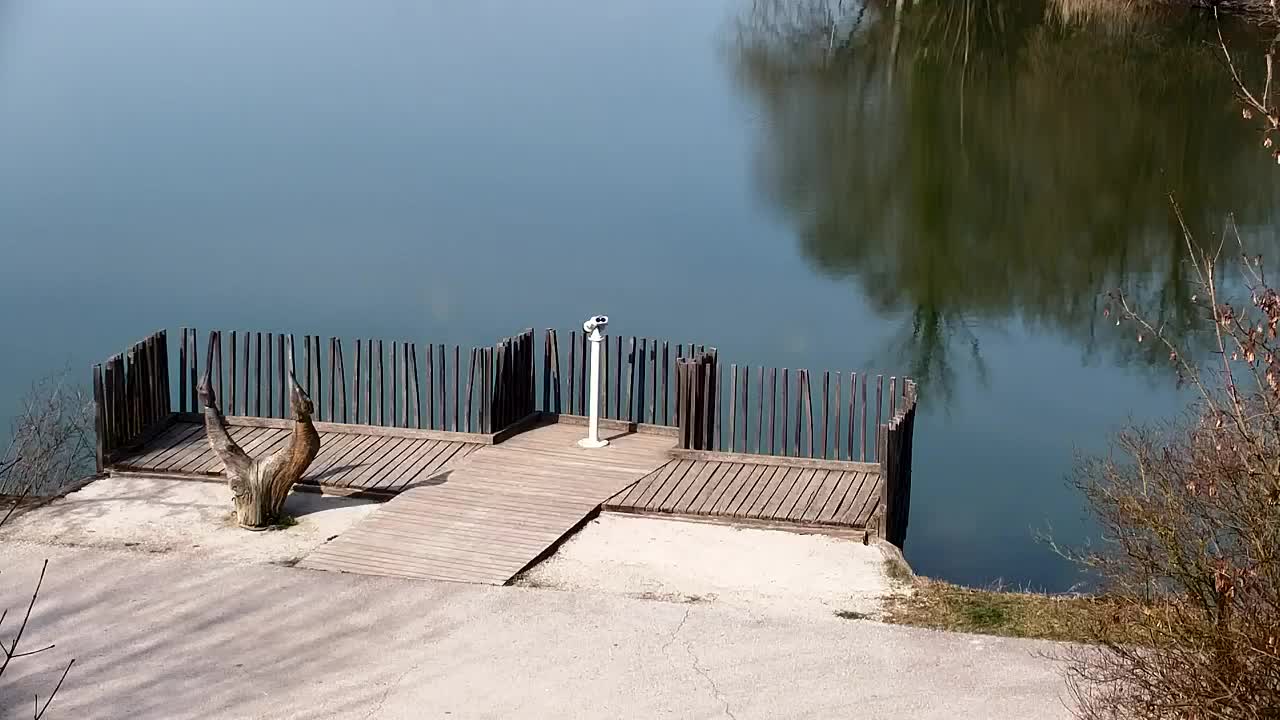 Webcam Ribnik Vrbje – Žalec