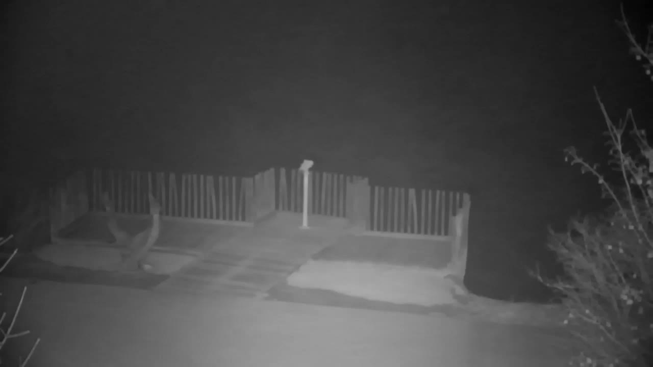 Webcam Ribnik Vrbje – Žalec