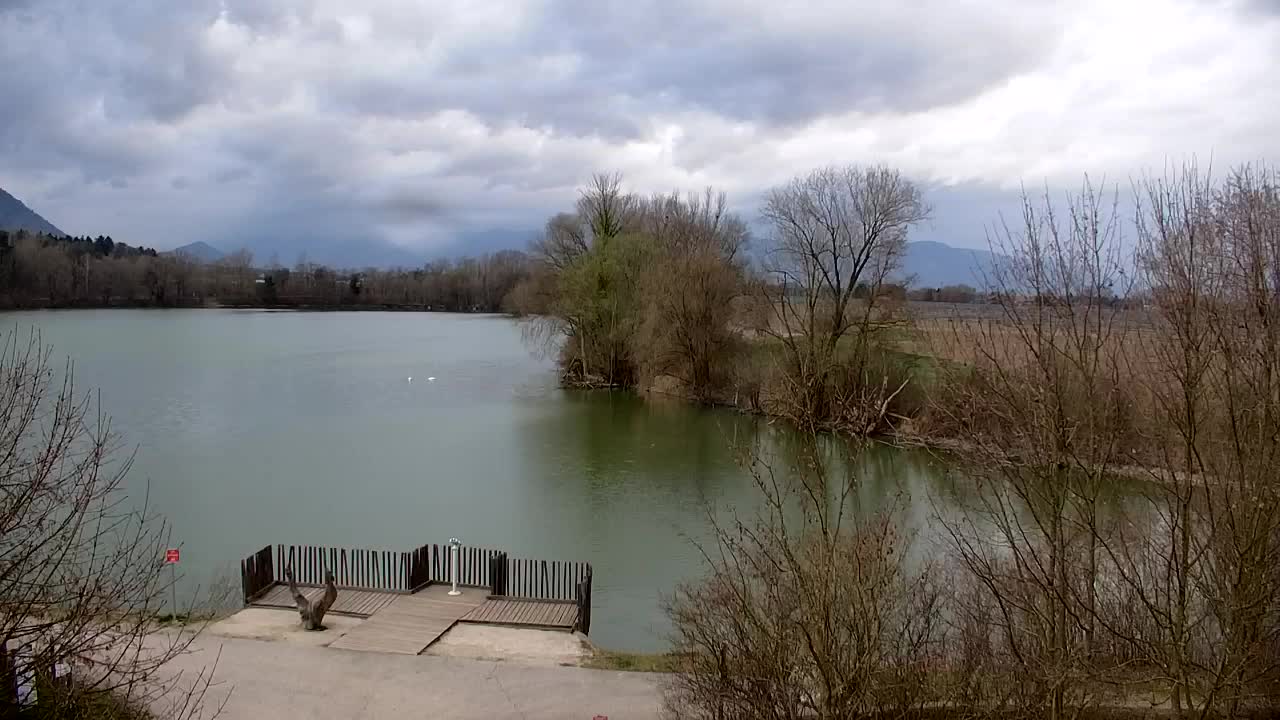 Webcam Ribnik Vrbje – Žalec