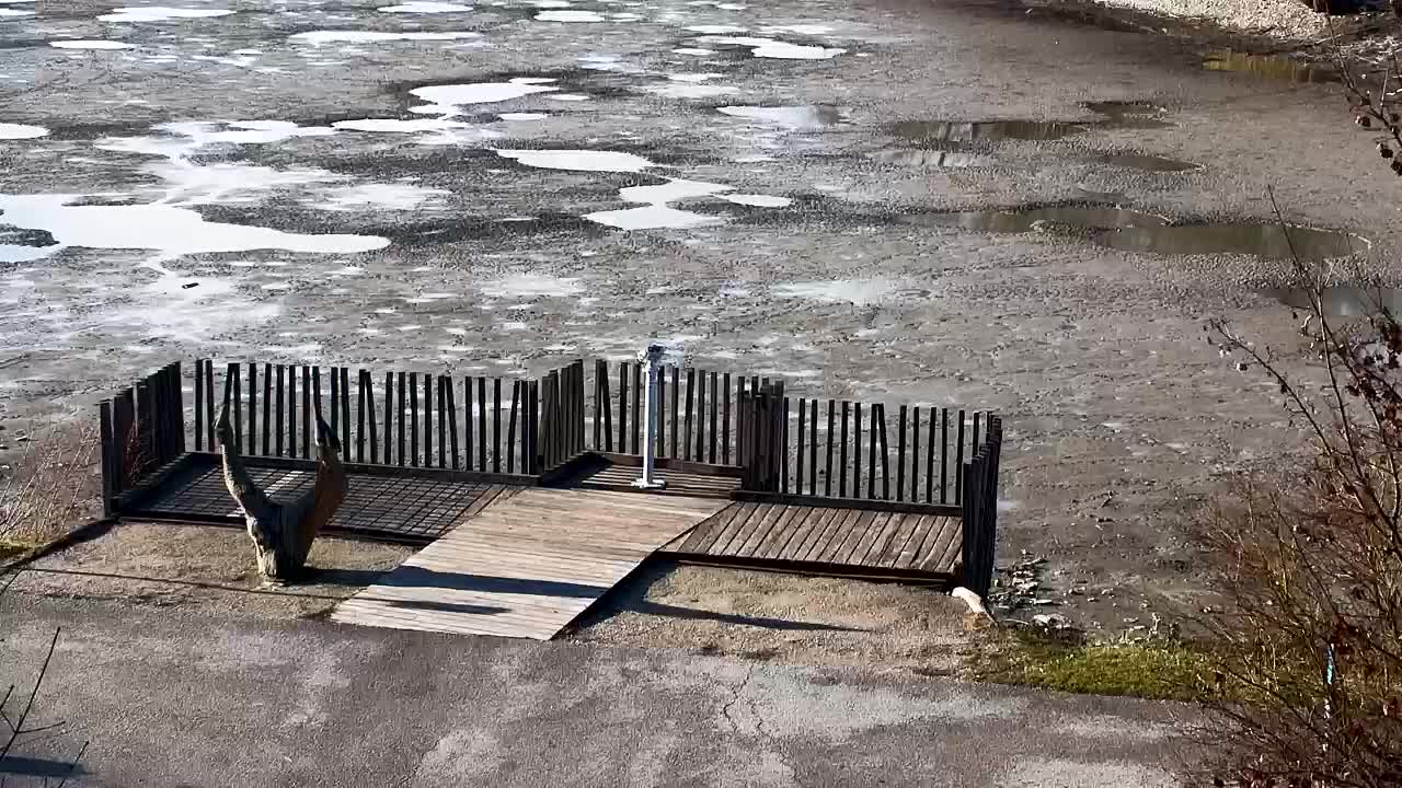 Spletna kamera Ribnik Vrbje – Žalec