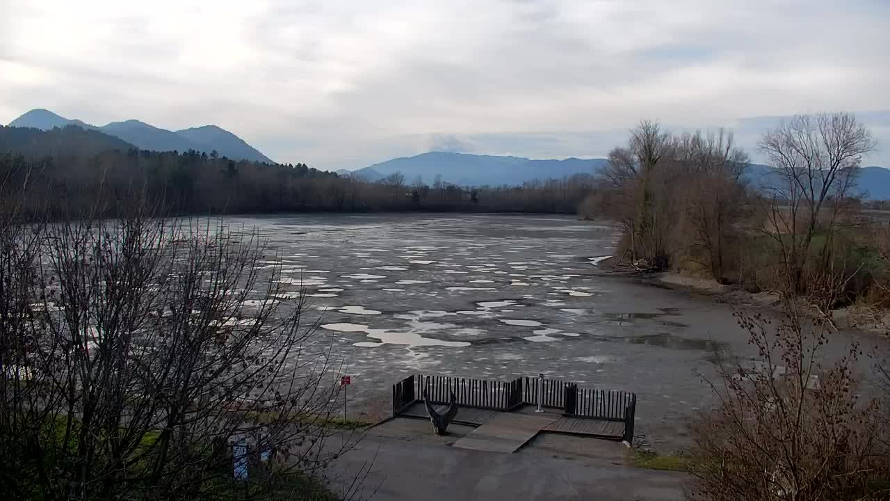 Spletna kamera Ribnik Vrbje – Žalec