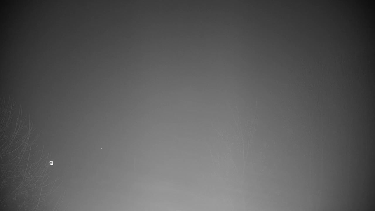 Webcam Ribnik Vrbje – Žalec